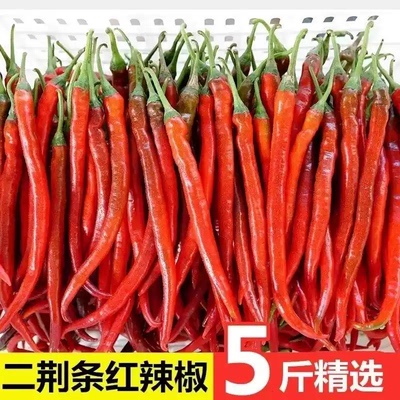贵州新鲜红辣椒二荆条红线椒红海椒辣子香辣农家自种蔬菜长辣椒
