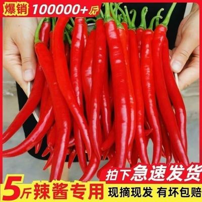 红辣椒新鲜贵州二荆条红线椒长线椒微辣现摘辣椒酱剁椒豆瓣酱