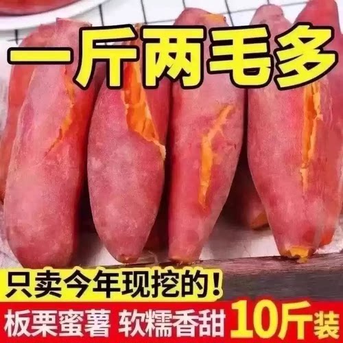 板栗蜜薯新鲜红薯沙地糖心地瓜非山东烟薯番薯25号烤红薯专用10斤
