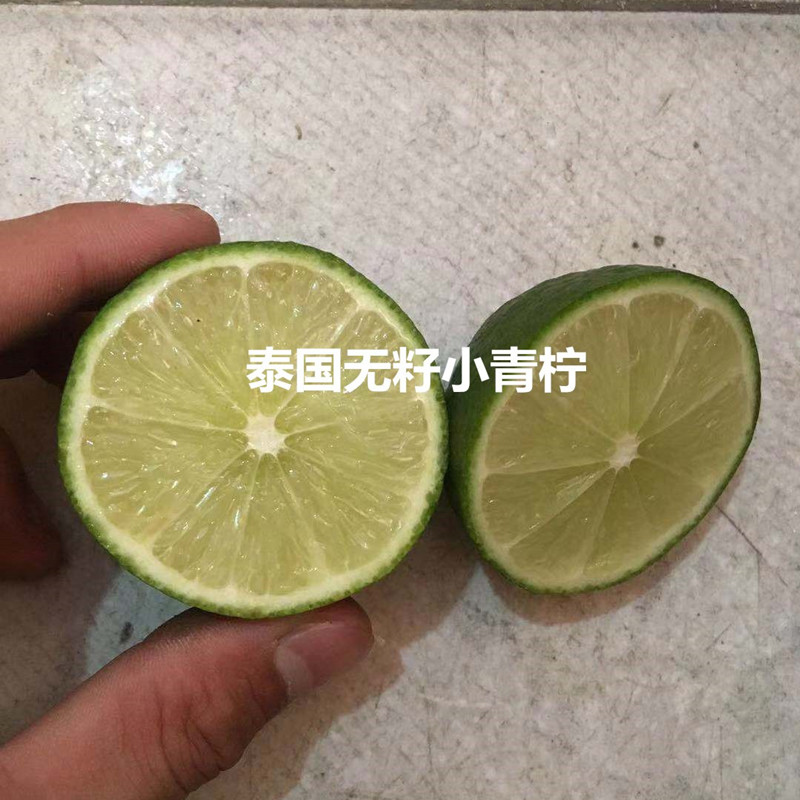 泰国无籽青柠檬树苗酸甜多汁