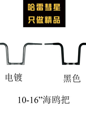 哈雷软尾突破肥仔改装 Wild 1 不法之徒outlawz 10-16