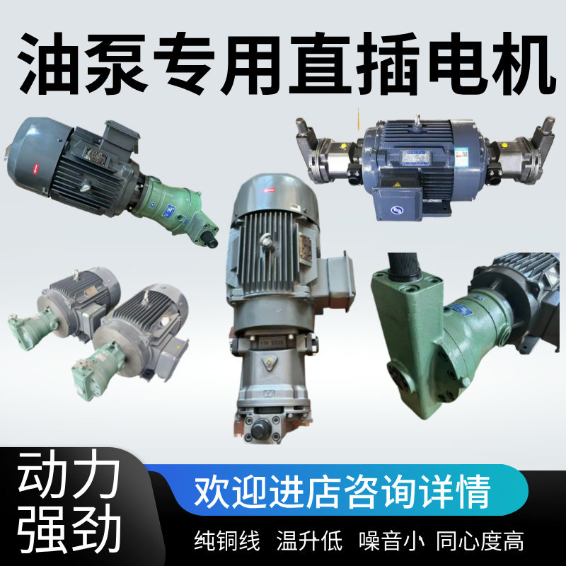 油泵电机直插式柱塞泵专用电机4/6级轴向柱塞泵专用内轴电机电动