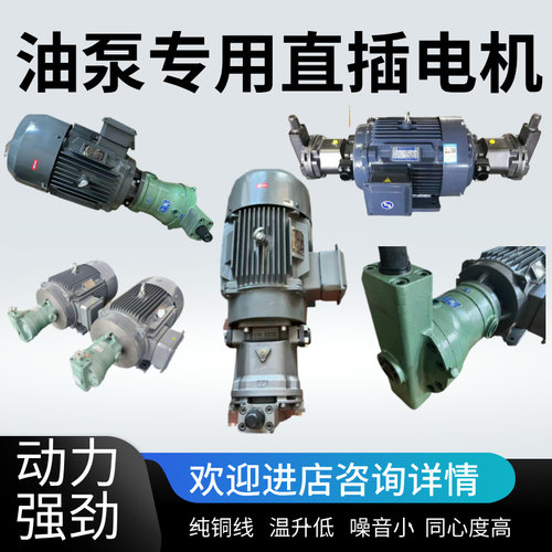 油泵电机直插式柱塞泵专用电机4/6级轴向柱塞泵专用内轴电机电动