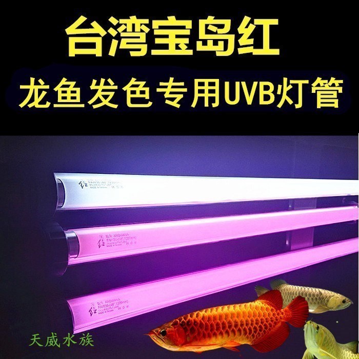 红龙鱼水中灯金龙专用灯潜水灯