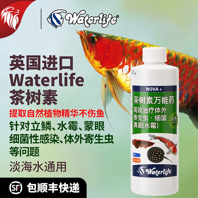 维他命Waterlife茶树素烂身立鳞