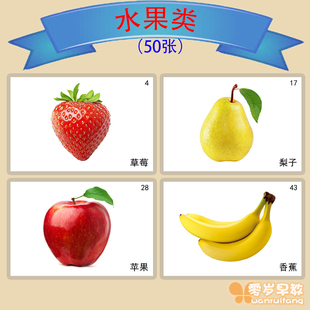 水果类儿童认知卡片教具语言发育迟缓自闭症孤独症康复训练早教卡