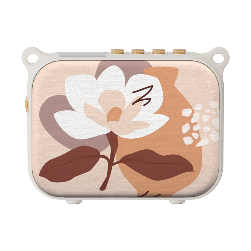 得胜E30无线小蜜蜂扩音器教师上课专用教学导游摆摊户外扬声器