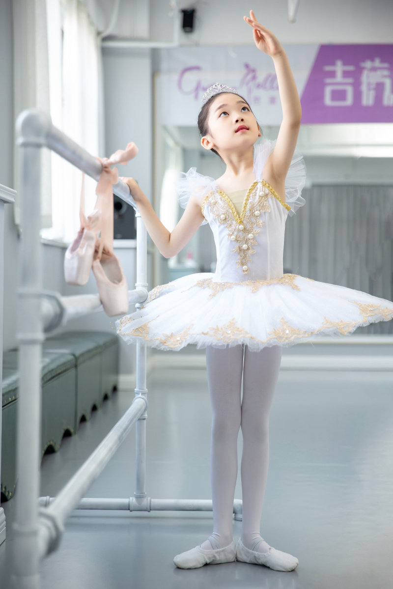 女童芭蕾舞裙粉色纱裙儿童舞蹈服跳舞裙演出服装练功服TUTU公主裙