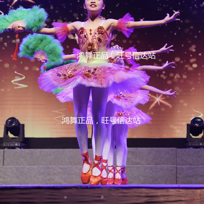 成人儿童芭蕾舞台表演服装定制TUTU纱裙花仙子蓬蓬裙