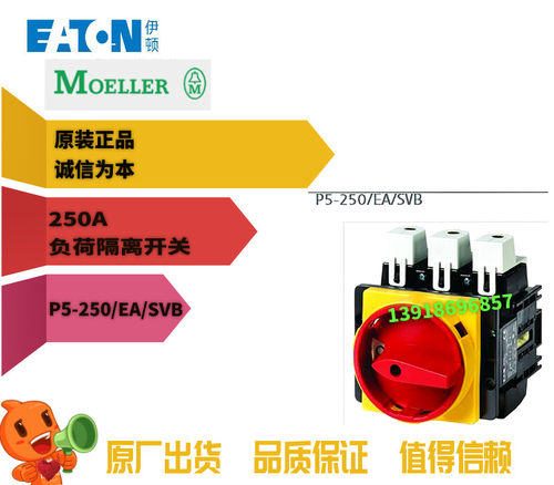 P5-250/EA/SVB负荷隔离开关