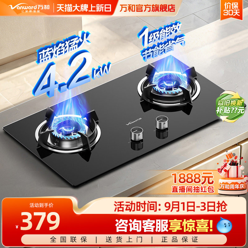 万和B3双灶家用台式嵌入式天然燃气灶