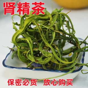 肾精草野生长白山化石草肾精茶嗷嗷叫茶肾草黄金草肾经草石韦草