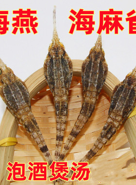 海麻雀干海燕子海飞蛾中药材泡酒药材煲汤海产品干货