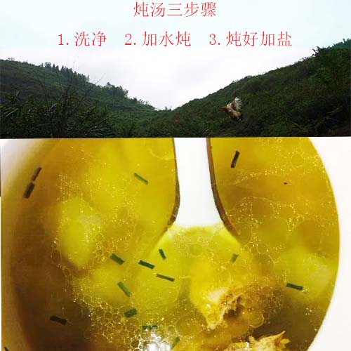 顺丰包邮老母鸡安徽九华山山林放养跑山鸡正宗土鸡健康美味月子鸡,水产肉类/新鲜蔬果/熟食,整鸡/整鸡制品,淘宝优惠券,粉丝福利购,淘宝优惠卷