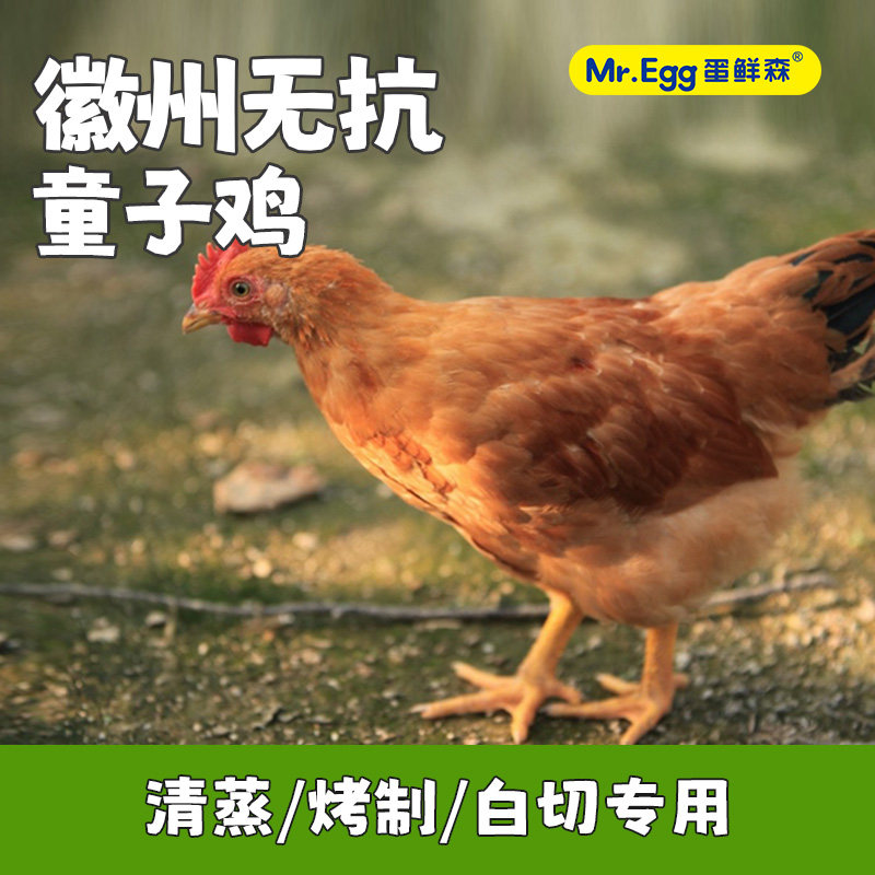 蛋鲜森童子鸡现杀900g每只发顺丰