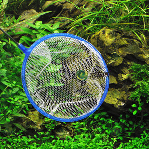 【水空间】圆形水族网捞 鱼捞 小鱼捞 虾捞 水族箱鱼捞