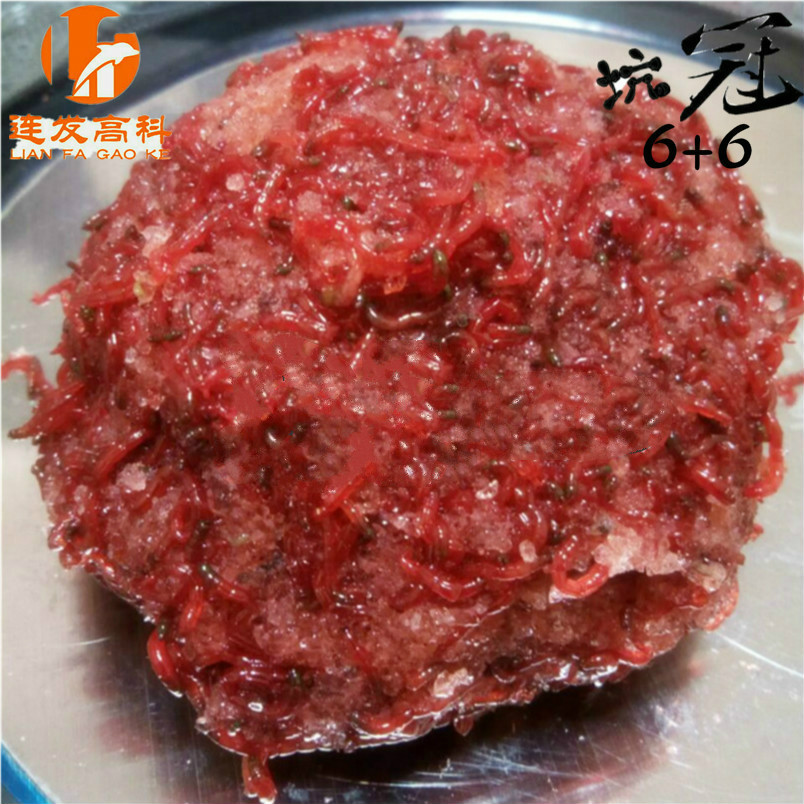 黑坑鲫鱼红虫肉夹馍拉拉虾肉红虫伴侣黑坑鲫鱼饵料野钓鱼饵米饭饵