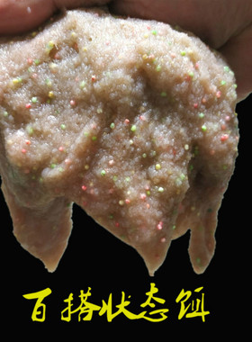 水精灵水母状态粉拉丝粉回锅鱼克星水拉饵小浪花饵料黑坑野钓鱼饵