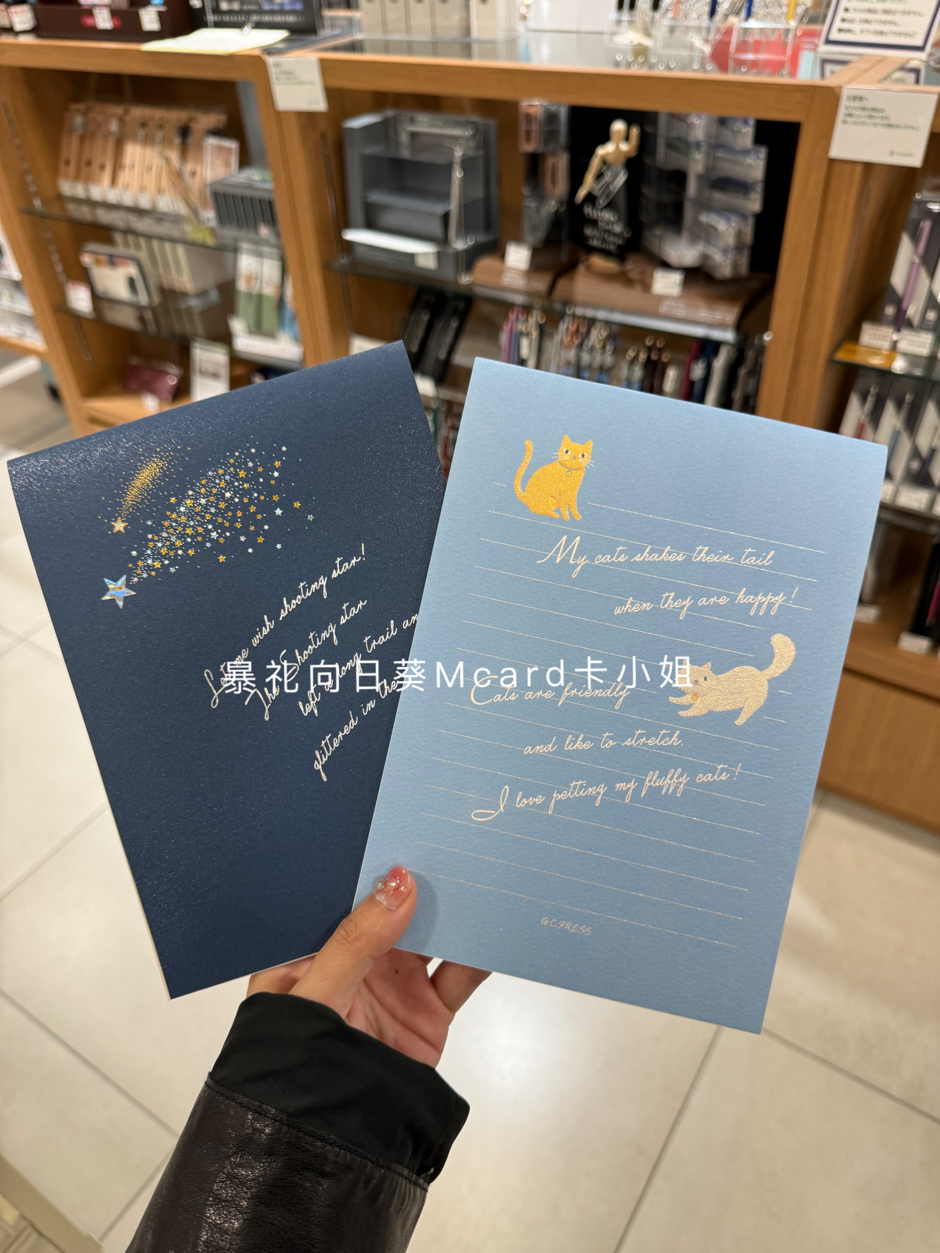 日本制烫金流星猫咪信纸信笺可爱温馨生日告白祝福万用创意纸张