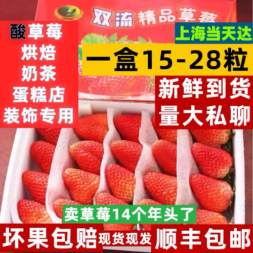 商用酸草莓当季水果现货顺丰包邮