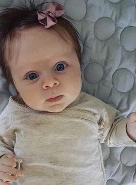 丹麦bow's宝宝儿童手工蝴蝶结发夹发卡环保不含镍小号6CM