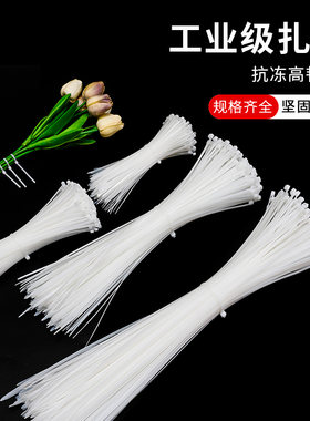 多规格尼龙扎带束线带扎线