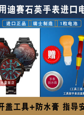适用于迪赛DIESE手表进口电池