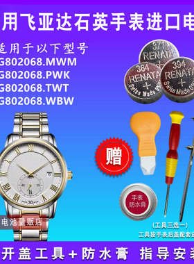 适用于FIYTA飞亚达G802068.MWM/PWK G802068.TWT/WBW手表电池