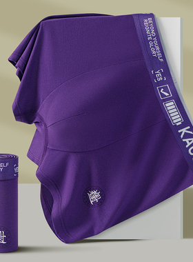 紫色考试裤莫代尔内裤男士平角紫腚行考试必穿内裤短裤平角内裤