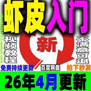 东南亚跨境电商虾皮 陪跑课程 0基础入门 新手可学 2026