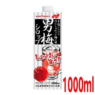 日本进口Nobel诺贝尔男梅酒气泡酒超酸浓厚稀释液商用1000ML