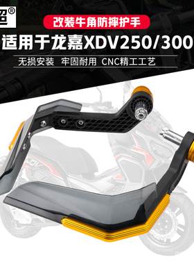 适用于龙嘉XDV250/300风挡护手踏板摩托车牛角保护杠防摔改装配件