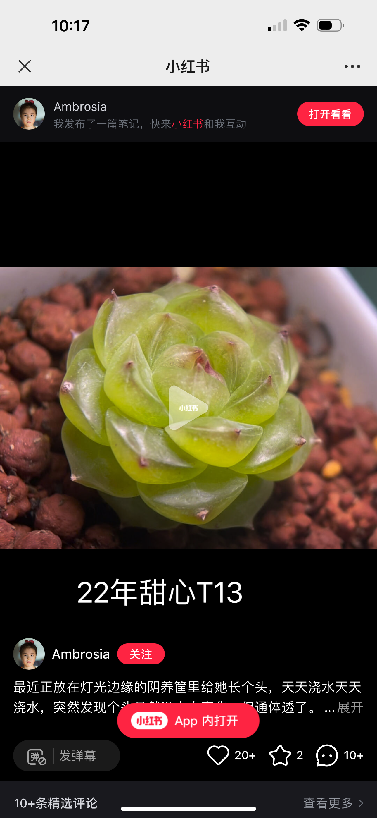 T13新品甜心，独家母本