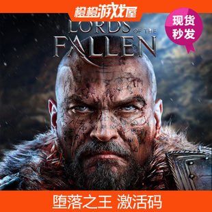 PC正版 堕落之王 年度版 Lords Of The Fallen Steam激活码 现货