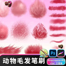 毛绒绒动物毛发毛球鬃毛质感纹理procreate笔刷边iPad插画PS笔刷