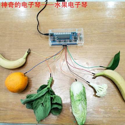 小发明小学幼儿园科学活动科技节互动水果电子琴音符钢琴触摸感应
