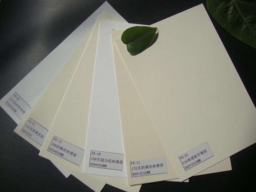 美国环保纸滑面纸,再生纸,毛面纸,画册纸,进口粗面纸,复古纸