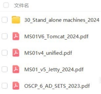 Oscp OSCP 2025年  教程教cai，包括实验lab的wp