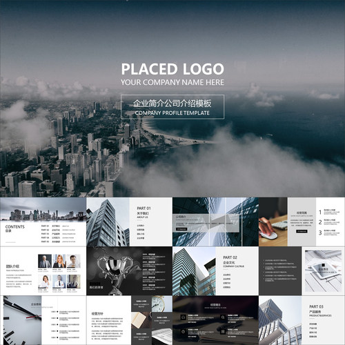 【动态PPT】高档画册风格商务企业公司简介推介说明动画PPT模板