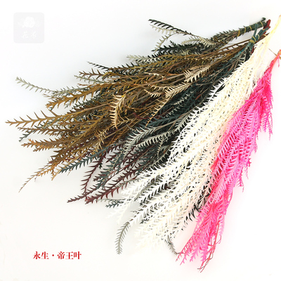 永生花帝王叶锯齿叶礼盒玻璃罩