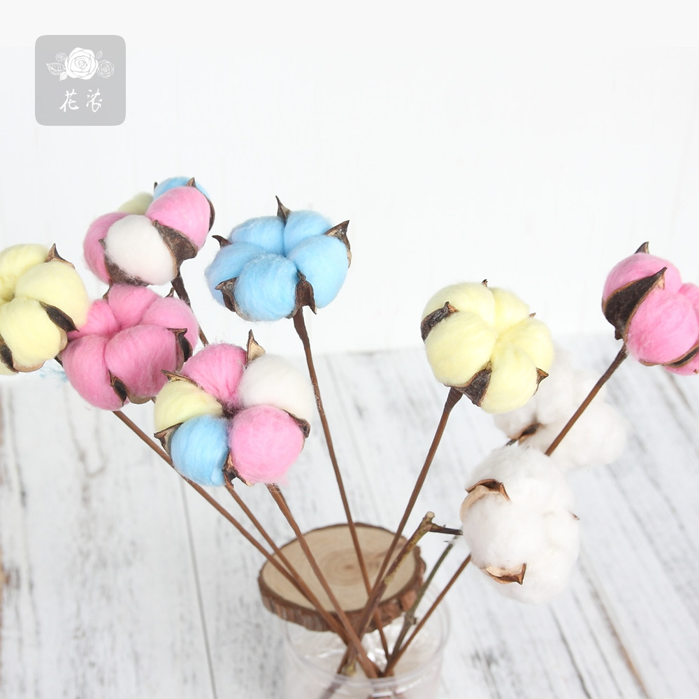 五瓣天然棉花 彩色棉花 永生花礼盒花束花材 干花家居插花