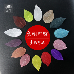 DIY永生花礼盒配花 金刚叶脉 彩色网状树叶 玉兰叶子 干花
