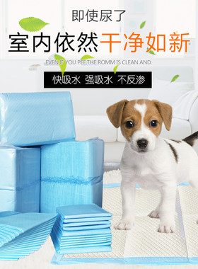 外贸宠物狗狗泰迪熊尿片狗尿垫尿布尿不湿 加厚 狗尿垫 包邮