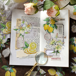 柠檬草莓桃子苹果绣球花水果清新植物手绘插画手帐贴纸素材贴画