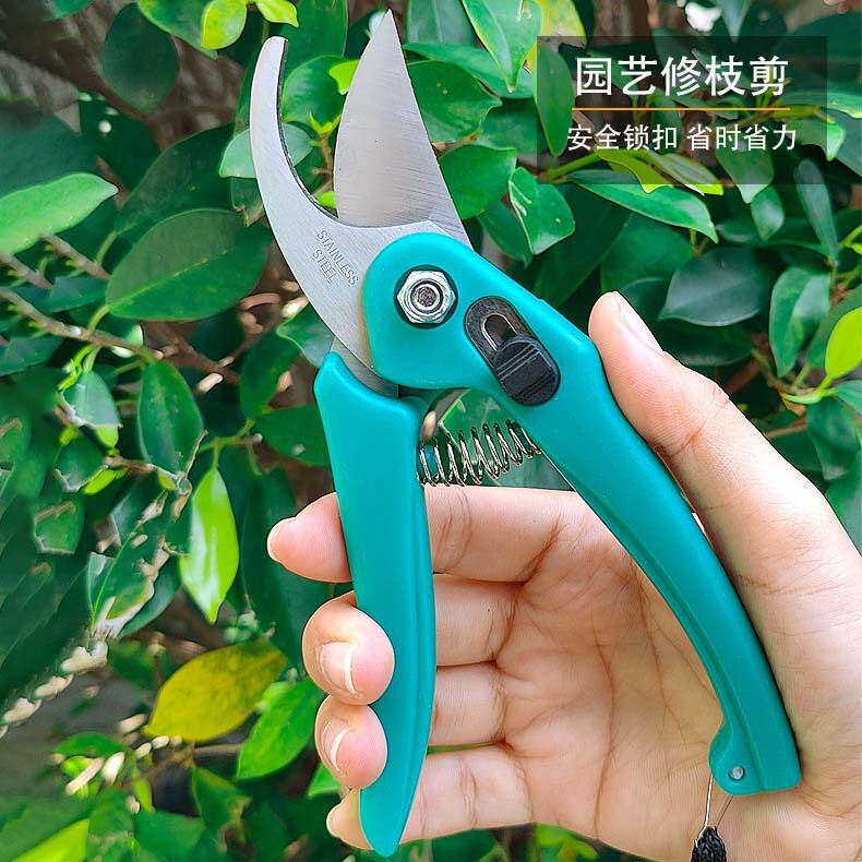 修剪树枝剪刀园艺剪刀不锈钢剪树枝专用剪刀果树剪枝剪花专用剪刀图片