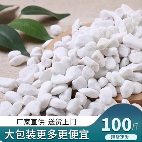 100斤小白石子鹅卵石原石天然多肉铺面石园艺庭院造景花盆白石头