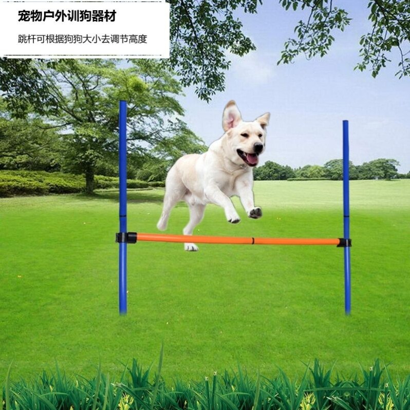 宠物训练用品狗狗跳高训练灵敏度跳杆狗户外运动器材专业体能训练