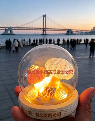 大连文创海胆贝壳蘑菇小夜灯