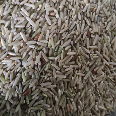 长江中下游老品种籼米糙米全米皮全胚芽虾田米鸭田米自留种