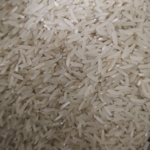 2025年农家自种香米晚稻籼米新米现磨不抛光不打蜡5斤装龙虾田米